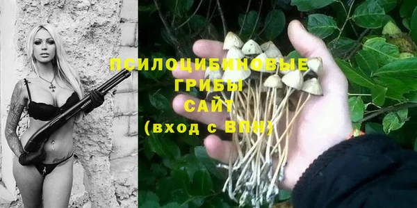 марихуана Новокубанск