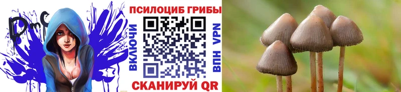 мега ТОР  Касимов  Псилоцибиновые грибы GOLDEN TEACHER 