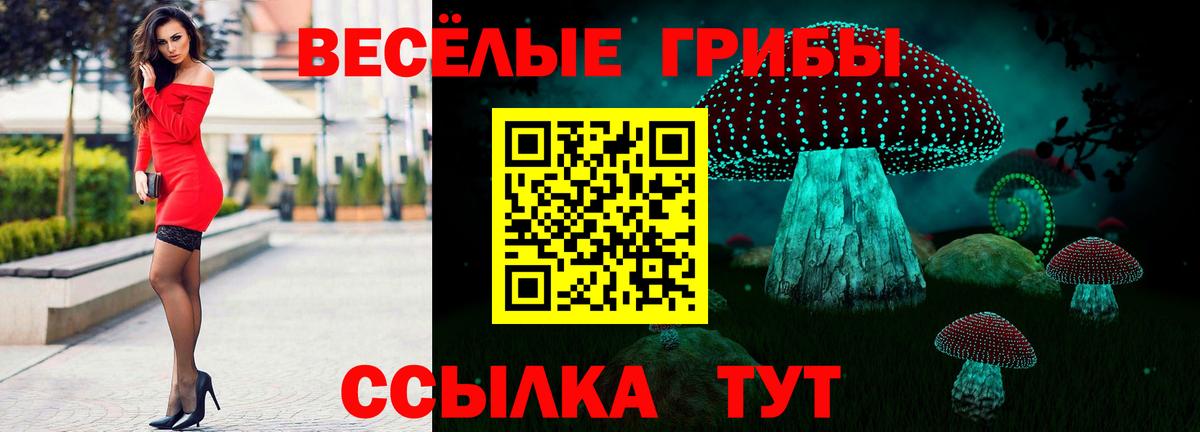 Касимов  Псилоцибиновые грибы Magic Shrooms  Вход с VPN 